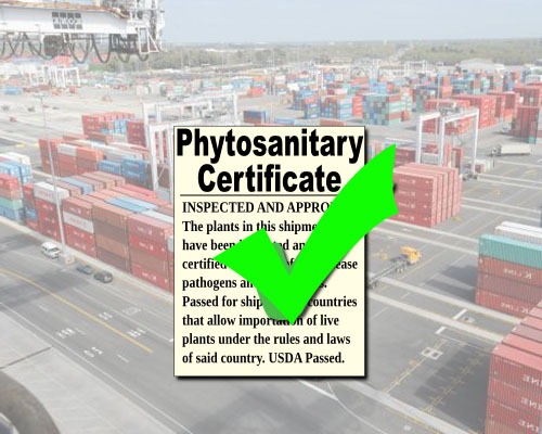 Certification of Phyto Sanitary under exports and imports